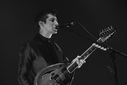 the wombats